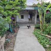Cho Thuê Phòng Trọ Gần Chợ Quán Bánh, Bến Xe Bắc Vinh, Bến Xe Bắc Vinh, Gần Bến Xe Buýt, Sân Bay