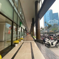 Em Còn Duy Nhất Văn Phòng 350M2 Tại Golden Palm 21 Lê Văn Lương Thanh Xuân Chia 3 Phòng Làm Việc