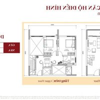 Ra Mắt Orchard Heights Sycamore Bình Dương, Từ 50 Triệu/1M2