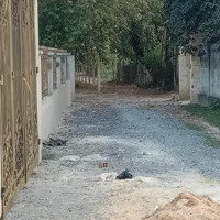 Cần Chuyển Nhượng Nhà Vườn,Diện Tích1.189 M2, Xã An Nhơn Tây, Củ Chi, Tp.hcm