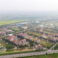 Chủ Cần Tiền Nhờ Thanh Khoản Gấp 2 Căn Biệt Thự The Phoenix Garden Đan Phượngdiện Tích200M2, 400M2