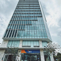 Văn Phòng Hạng A-B Đà Nẵng, Tiện Ích Phong Phú,Diện Tích Đa Dạng, Giá Cả Hợp Lý, Liên Hệ Phú Ngay