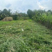 Bán Nền Diện Tích Hơn 600M2 Chiều Ngang Rộng 10M Giá Dưới 3,5 Tỷ