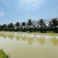 Hơn 100 Tỷ Sở Hữu Ngay Bt 345M2 Tại Hồ Điều Hòa 12Ha Vinhomes The Harmony, Thô, Xây 4 Tầng, Có Sông