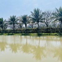 Hơn 100 Tỷ Sở Hữu Ngay Bt 345M2 Tại Hồ Điều Hòa 12Ha Vinhomes The Harmony, Thô, Xây 4 Tầng, Có Sông