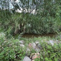 Bán Đất Chân Đèo Prenn Đà Lạt - Phong Thủy Vượng, Pháp Lý Chuẩn, Thương Lượng Tốt