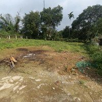 Cần Bán Lô Phú Thượng, Hòa Sơn Giá Bán 850 Triệu Cho Vkck Trẻ Định Cư Hộ Khẩu Đà Nẵng