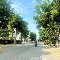 Siêu Tốt! Bán Nhà Mặt Tiền Hoàng Hoa Thám Q.bình Thạnh -Diện Tích8X20M 3 Tầng Có Hđt 90 Triệu Chỉ 30 Tỷ