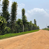 Hoài Đức - Lâm Hà- Lâm Đồng 3 Lô Đất 1000M2 -1600M2 Sẵn 100M2 Thổ Cư Tại Nơi Có Khí Hậu Mát Mẻ.