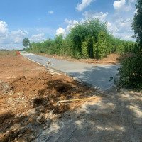 Bán Đất Ấp Tân Hai, Xã Lộc Phú, Huyện Lộc Ninh, Bình Phước - Vị Trí Đẹp, Giá Tốt, Sổ Hồng Riêng