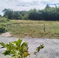 Bán Đất Tại Khu Dân Cư Phước Thạnh, 2,35 Tỷ, 390M2,Full Thổ Cư, Mặt Tiền 5,5M, Nở Hậu 16M