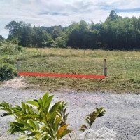 Bán Đất Tại Khu Dân Cư Phước Thạnh, 2,35 Tỷ, 390M2,Full Thổ Cư, Mặt Tiền 5,5M, Nở Hậu 16M