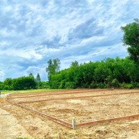 Mở Bán Lô Đất Biệt Thự Ngoại Ô Tam Kỳ - Diện Tích Lớn Từ 200M2, 220M2