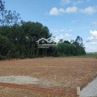 Mở Bán Lô Đất Biệt Thự Ngoại Ô Tam Kỳ - Diện Tích Lớn Từ 200M2, 220M2