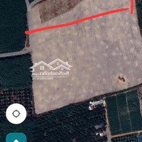 Cần Bán 6,2 Hec Đất Clnmặt Tiềnđường Trừ Văn Thố Bàu Bàng Bình Dương, Giá Bán 36 Tỷ, Lh Mr Tương 0962866667