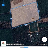 Cần Bán 6,2 Hec Đất Clnmặt Tiềnđường Trừ Văn Thố Bàu Bàng Bình Dương, Giá Bán 36 Tỷ, Lh Mr Tương 0962866667