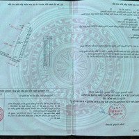 Cần Bán Gần 2,5 Hecta Đất Có 1,5 Hecta Đất Skc Tại Bàu Bàng Bình Dương, Giá Bán 37 Tỷ, Liên Hệ: 0962866667