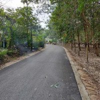 Cần Bán Gần 2,5 Hecta Đất Có 1,5 Hecta Đất Skc Tại Bàu Bàng Bình Dương, Giá Bán 37 Tỷ, Liên Hệ: 0962866667