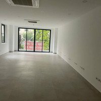 Cho Thuê Nhà Phố Ngũ Xã,Mặt Tiền21M,Diện Tích120M2 X 3 Tầng, Chung Chủ, Kd Mọi Mô Hình