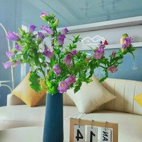 Ô Tô Đỗ Cửa, Gần 100M2 Tô Hiến Thành, Sơn Trà Bán Đất Tặng Nhà Chỉ 6.65 Tỷ