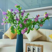 Cực Rẻ, Vị Trí Đẹp Trung Tâm Phố Tây Nhà 4 Phòng Ngủchâu Thị Vĩnh Tế, Ngũ Hành Sơn,Diện Tích85M2 Chỉ 3.15 Tỷ