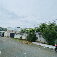 Hiếm ! Lô Đất Vườn 500M2, Full Thổ Cư Ngay Hoàng Hữu Nam, Cạnh Ga Metro Long Bình, Nhỉnh 14 Tỷ
