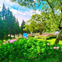 Bán Nhà Ngay Công Viên Trần Phú, Phường3, Tp Đà Lạt, Lâm Đồng