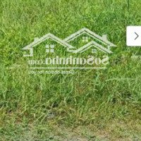 Đất Đầu Tư Đức Hòa, Long An: Chỉ 6Tỷ Cho 450M2 - Sổ Riêng - Mr.hoàng: 0988115997