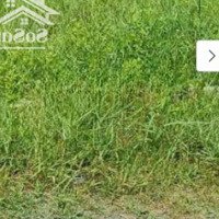 Đất Đầu Tư Bến Lức, Long An: Chỉ 6Tỷ Cho 1600M2 - Sổ Riêng - Mr.hoàng: 0988115997