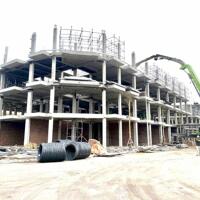 Chỉ 5,9 Tỷ Căn Shophouse Trung Tâm Quận Hồng Bàng Sẵn Sổ Sang Tên Ck Tới 9,5%