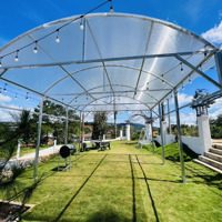 Mua Lô Đất Có Sẵn Luôn Cho Anh/Chị Mô Hình Nghỉ Dưỡng Camping