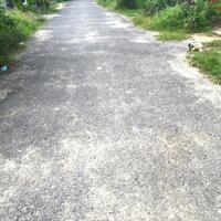  BÁN ĐẤT KHU BÀN CỜ – TÂN HIỆP, LONG THÀNH – CHỈ 3 TỶ 6 – ĐẦU TƯ SINH LỜI NGAY! 