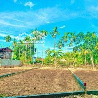 Bán Đất Hòa Tiến - Hòa Châu - Chợ Lệ Trạch - 110M2 - 639 Triệu