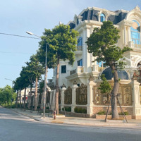 Bán Đất Nền Dự Án Đền Đô, Giá Thỏa Thuận, 209M2, Đường Lý Thái Tổ, Từ Sơn, Bắc Ninh