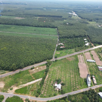 Bán Đất Nền Đường Hồ Chí Minh, Trừ Văn Thố, Bàu Bàng, Bình Dương, 800 Triệu, 250 M2