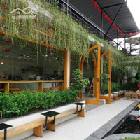 Cho Thuê Mặt Bằng Kinh Doanh Siêu Đẹp Tại Nguyễn Cảnh Dị :Diện Tích120M X2 Tầngmặt Tiền8M Chỉ Với 50 Triệu / Th