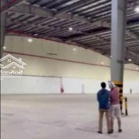 Cho Thuê Kho Mới Xây Kcn Lê Minh Xuân, Bình Chánh, Tổng Diện Tích: 35.000M2, Pccc Tự Động