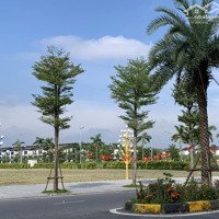 Đất Dịch Vụ An Thượng Mặt Đường Lớn, Vị Trí Víp, Giá Tốt Nhất Thị Trường