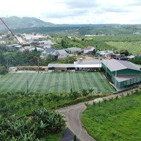 362M2 Giá Ưu Đãi Ngang 10M - Đất Tại Đt 725, Bảo Lâm, Lâm Đồng Giá Rẻ Chỉ Còn 860 Triệu