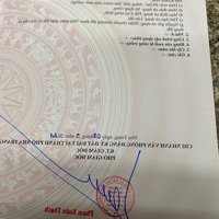 Đất Tái Định Cư Hòn Rớ 1, Đường Nguyễn Tất Thành