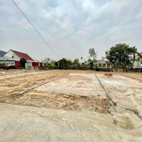 Bán Đất 113M2 Tại Xã Tân Phong, Kiến Thụy, Hải Phòng Ngay Sau Trường Học Chuẩn Bị Làm Đường Nhựa