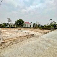 Bán Đất 113M2 Tại Xã Tân Phong, Kiến Thụy, Hải Phòng Ngay Sau Trường Học Chuẩn Bị Làm Đường Nhựa