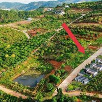 Bán Đất Lâm Hà, Lâm Đồng, 110M2 Sổ Giá Bán 550 Tr, Cạnh Khu Du Lịch. Liên Hệ: 0869916639