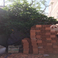 Bán Đất Tại Đông Hà, Đông Hưng, Thái Bình, 3,6 Tỷ, 130M2