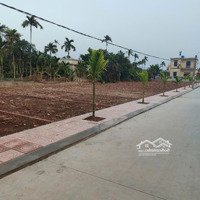Chính Chủ Cắt Lỗ 300 Triệu Còn 1Tỷ1 Lô Đất Sát Khu Cn Vsip Và Đường Quy Hoạch Rộng 21M