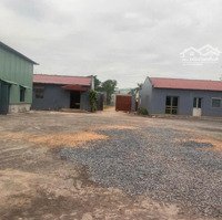 Cho Thuê Nhà Xưởng 3.600M2 Trong Kcn Tỉnh Hải Dương (Vị Trí Đắc Địa - Giá Chỉ 100.000Vnđ/M2)