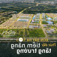 Đón Năm Mới 2025 - Giỏ Hàng Shophouse - The Global City - Ck 12%