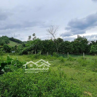 Bán Gấp Siêu Phẩm 1000M View Siêu Đẹp Thoáng Sổ Hồng Giá 1,X Tỷ