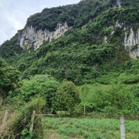 Bán Gấp Siêu Phẩm 1000M View Siêu Đẹp Thoáng Sổ Hồng Giá 1,X Tỷ