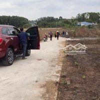 Bán Đất Tại Sông Xoài 150M2, Giá Ưu Đãi Cho Bạn